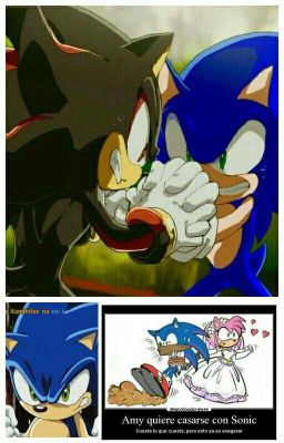 Retos y Preguntas para el team sonic