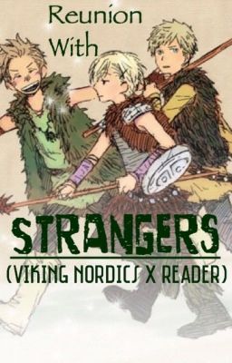 Reunion with Strangers (Viking Nordics x Reader)