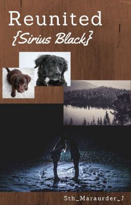 Reunited (A Sirius Black Fanfiction) - DISCONTINUED