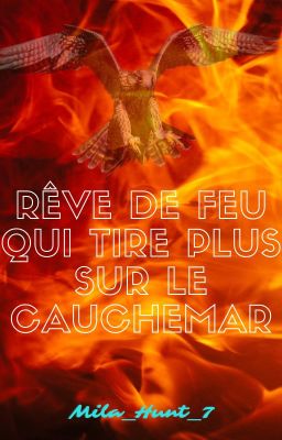 Rêve de FEU qui tire plus sur le Cauchemar