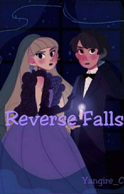 Reverse Falls