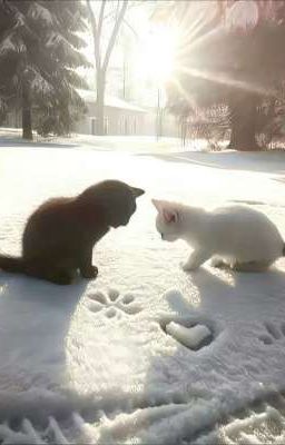 RhyCap | Hấp Hồn.