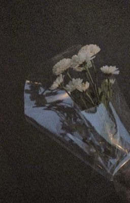 rinbachi ; giấc mơ tình cờ