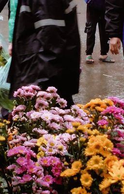 [Rinisa] Vết Đạn