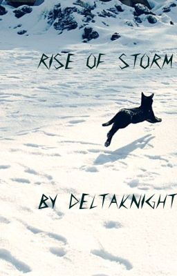 Rise of Storm (warrior cats fanfic)