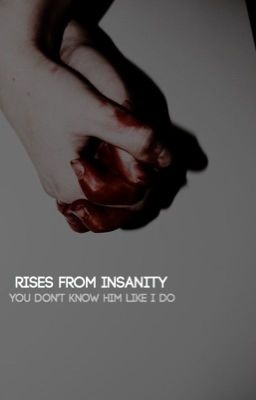 Rises from Insanity (Sequel to Falling In Love with Insanity)