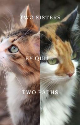 Rising Mist || 2 || Two Sisters Two Paths - Warrior Cats Fan Fiction