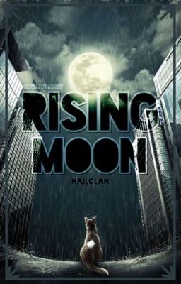 Rising Moon - A Warriors RP