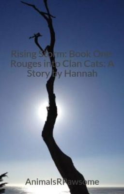 Rising Storm: Book One: Rouges into Clan Cats: A Story by Hannah