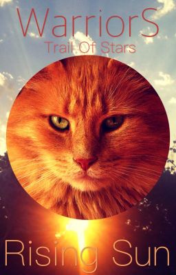 Rising Sun- A Warrior Cats Fanfiction ✔️