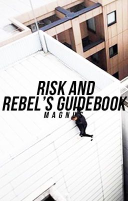 Risk and Rebel's Guide Book