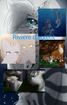 Rivière d'argent