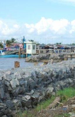 RỌ ĐÁ MẠ KẼM,RỌ ĐÁ BỌC NHỰA PVC,RỌ ĐÁ,THẢM ĐÁ,RỒNG ĐÁ GIÁ TỐT