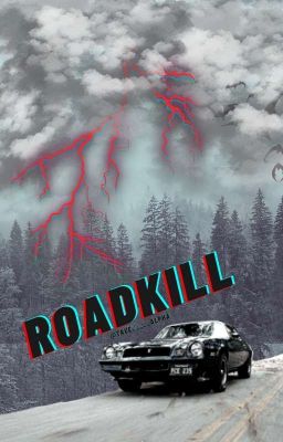 Roadkill ~ Stranger Things