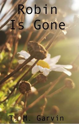 Robin Is Gone