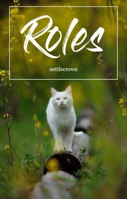 Roles - Warrior Cats