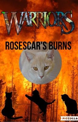 Rosescar's Burns {A Warrior Cats Super Edition}