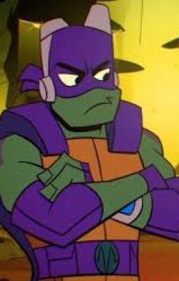 Rottmnt Oneshots (and Season 3 Fan Project Application)