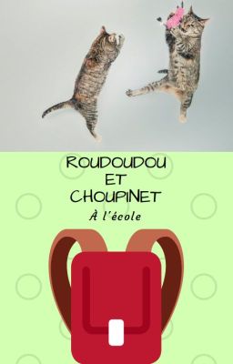 Roudoudou et Choupinet à l'école