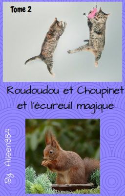 Roudoudou et Choupinet et l'écureuil magique. ~ Tome 2