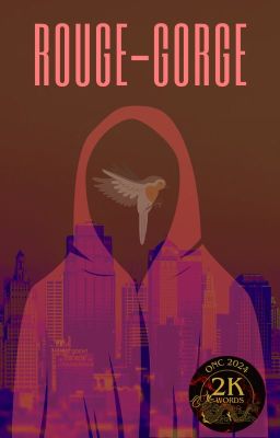 Rouge-Gorge (Young Justice Fanfic)