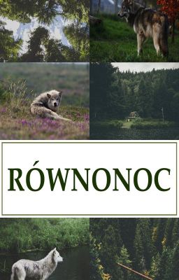 Równonoc