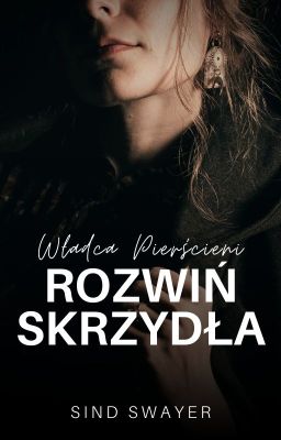 ✓ ROZWIŃ SKRZYDŁA • Władca Pierścieni | Boromir