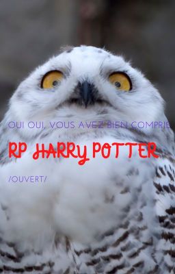 RP Harry Potter / OUVERT/