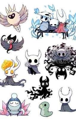 Rp Hollow Knight