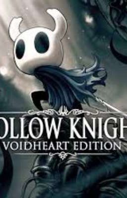 RP hollow knight 