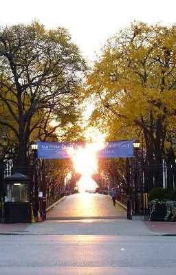 📚 RPG based story 📚