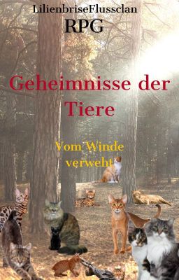 RPG Geheimnisse des Sees/ Vom Winde verweht (BEENDET)