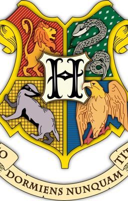 RPG Harry Potter OPEN