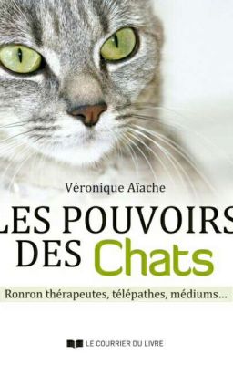 RPG LGDC : les Pouvoir des chats