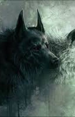 RPG Wolf❤️🤞🏻