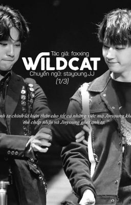 [RT 18+] Wildcat | JJ Project