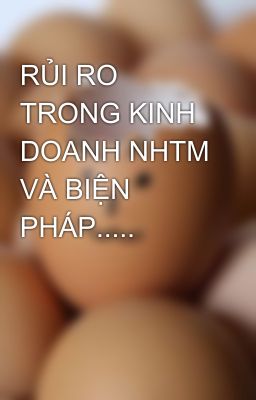 RỦI RO TRONG KINH DOANH NHTM VÀ BIỆN PHÁP.....