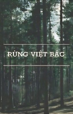 RỪNG VIỆT BẮC