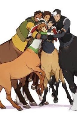 Running wild (voltron centaur au) (discontinued)