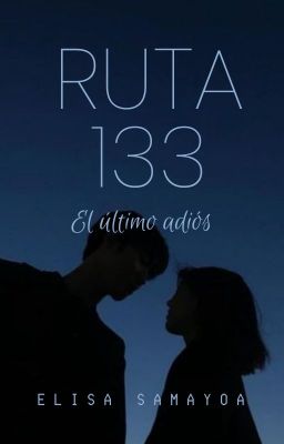 Ruta 133: el último adiós | Terminada |