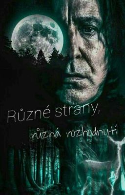 Různé strany, různá rozhodnutí