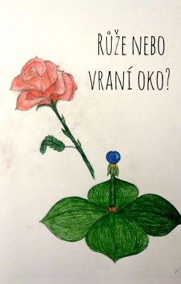 Růže nebo vraní oko