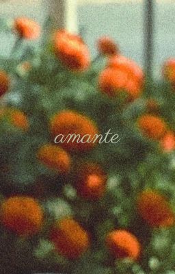 ryeji | amante