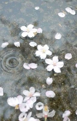 ryoh | You
