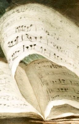 ryu minseok 'shoelace'