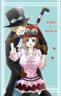 |Sabo x Koala / From A to Z| Những Chuyện Chưa Kể