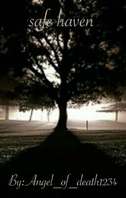 Safe Haven 
