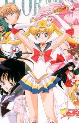 Sailor Moon harem x male reader