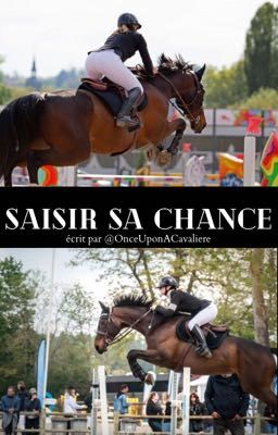 Saisir sa chance 