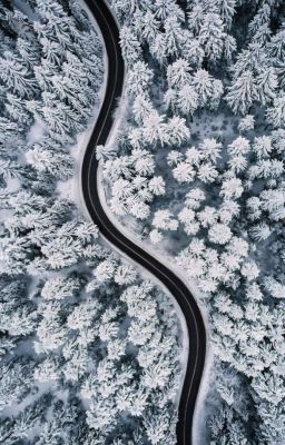 Salt & Snow [WOW X Reader]